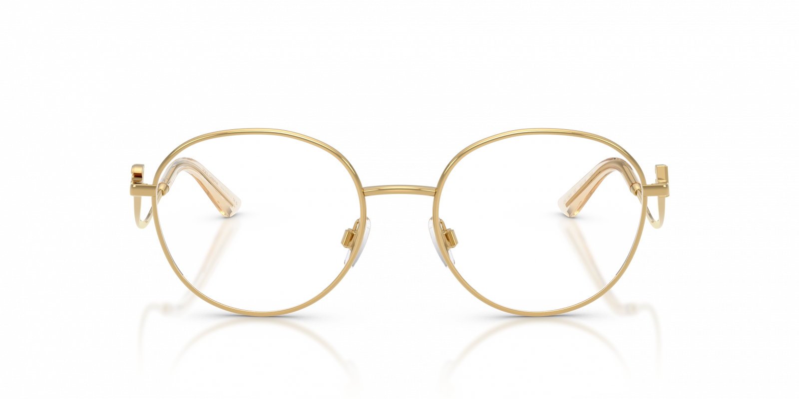 Dolce & Gabbana DG1365 02  